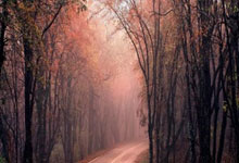 中国斯诺克创历史！吴宜泽压线进巡回锦标赛，世.